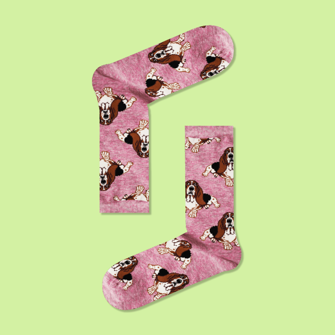 Πολύχρωμες Κάλτσες με Σκυλάκια Basset Hound